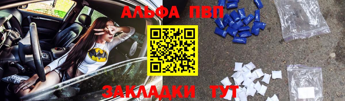 Альфа ПВП СК КРИС Владимир