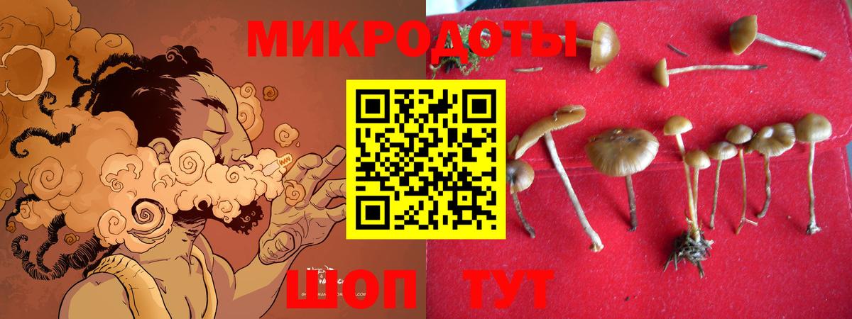 Псилоцибиновые грибы MAGIC MUSHROOMS Владимир